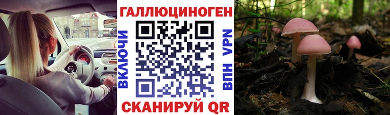 Галлюциногенные грибы MAGIC MUSHROOMS  это клад  Сибай  как найти закладки 